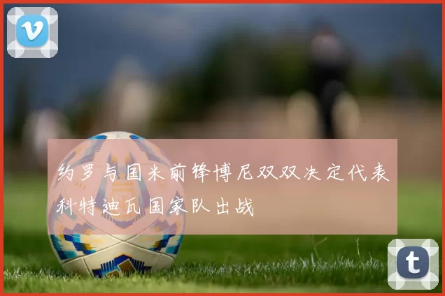 约罗与国米前锋博尼双双决定代表科特迪瓦国家队出战