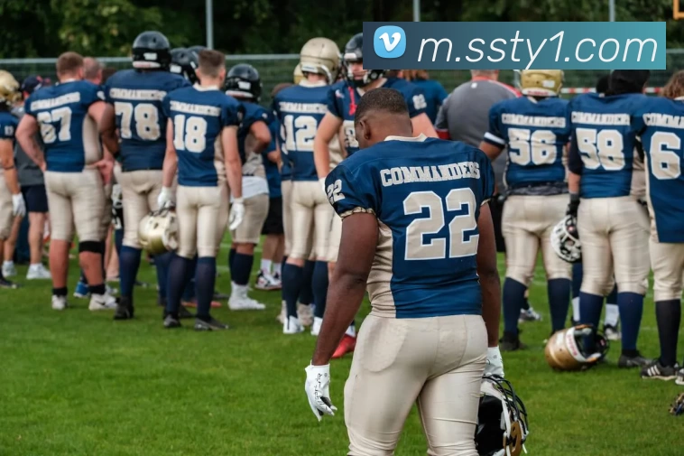 盛世体育发展历程